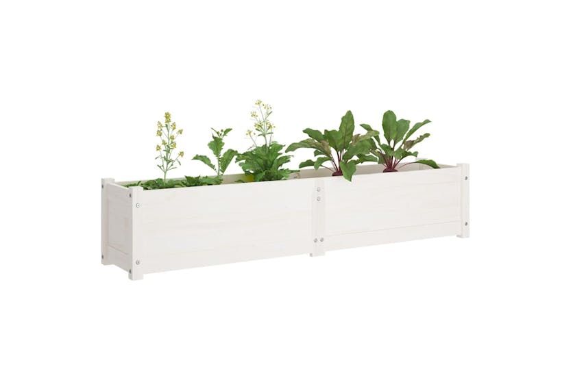 vidaXL 810742 Garden Raised Beds 2 Pcs White 150x31x31cm Solid Pinewood vidaXL 810742 Garden Raised Beds 2 Pcs White 150x31x31cm Solid Pinewood