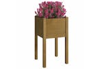 vidaXL 810796 Garden Planters 2 Pcs Honey Brown 40x40x70cm Solid Pinewood vidaXL 810796 Garden Planters 2 Pcs Honey Brown 40x40x70cm Solid Pinewood