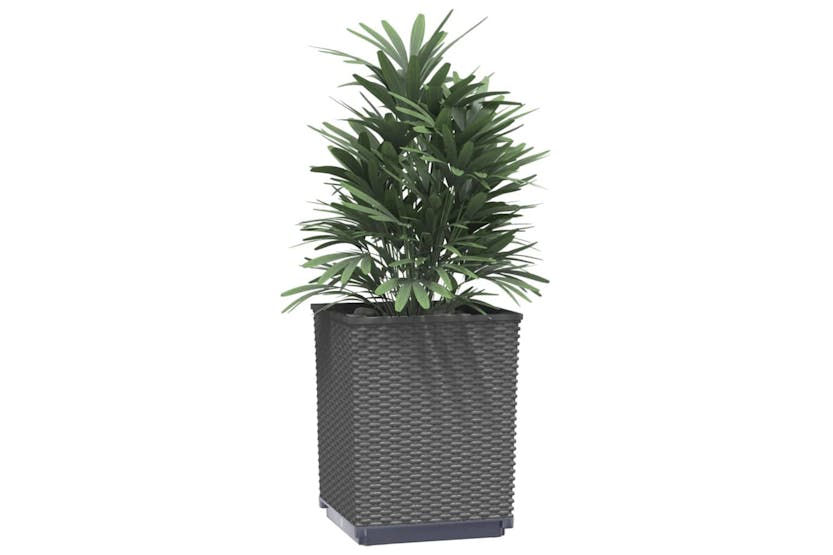 vidaXL 364182 Planters 2 Pcs Black 30x30x37cm Polypropylene vidaXL 364182 Planters 2 Pcs Black 30x30x37cm Polypropylene