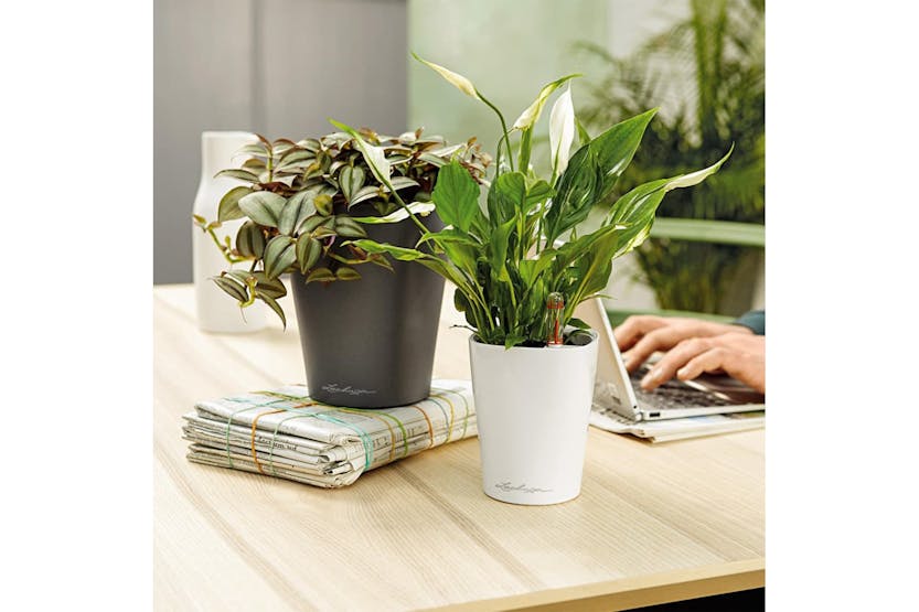 Lechuza 443315 Planter Deltini All-in-one High-gloss White Lechuza 443315 Planter Deltini All-in-one High-gloss White