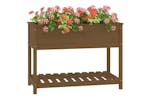 vidaXL 823790 Planter With Shelf Honey Brown 111.5x54x81cm Solid Wood Pine vidaXL 823790 Planter With Shelf Honey Brown 111.5x54x81cm Solid Wood Pine