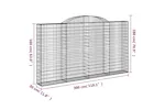 vidaXL 3146575 Arched Gabion Baskets 2 Pcs 300x30x160/180cm Galvanised Iron vidaXL 3146575 Arched Gabion Baskets 2 Pcs 300x30x160/180cm Galvanised Iron