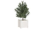 vidaXL 810524 Garden Planter White 31x31x31cm Solid Pinewood vidaXL 810524 Garden Planter White 31x31x31cm Solid Pinewood