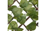 Nature 442632 Garden Trellis With Laurel Palm 90x180 Cm Green Leaves Nature 442632 Garden Trellis With Laurel Palm 90x180 Cm Green Leaves