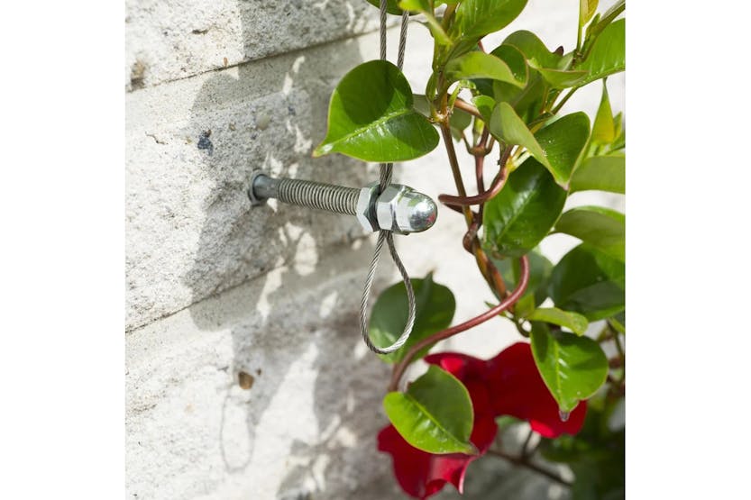 Nature 419738 Wire Trellis Set For Climbing Plants 6040760 Nature 419738 Wire Trellis Set For Climbing Plants 6040760