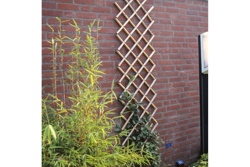 Nature 409343 Garden Trellis 45x180 Cm Bamboo 6040720 Nature 409343 Garden Trellis 45x180 Cm Bamboo 6040720