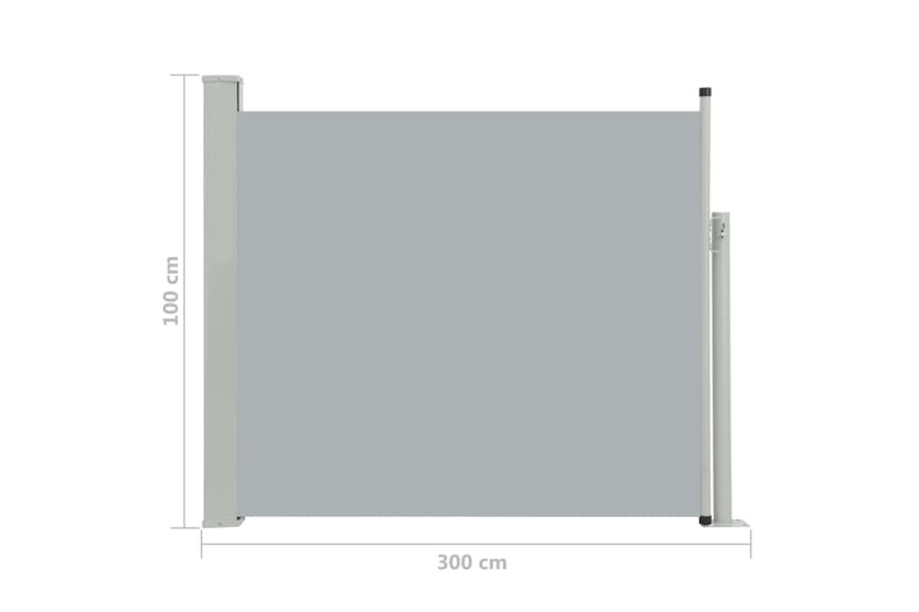 vidaXL 48374 Patio Retractable Side Awning 100x300cm Grey vidaXL 48374 Patio Retractable Side Awning 100x300cm Grey