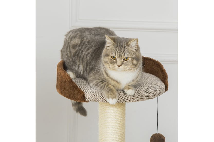 PawHut D30-411 104cm Scratching Post Cat Tree | Brown PawHut D30-411 104cm Scratching Post Cat Tree | Brown