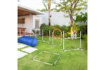 PawHut D07-022 Dogs PE Obstacle Agility Training Set | White PawHut D07-022 Dogs PE Obstacle Agility Training Set | White