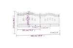 vidaXL 151101 Fence Gate With Spear Top Black 406x173cm Powder-coated Steel vidaXL 151101 Fence Gate With Spear Top Black 406x173cm Powder-coated Steel