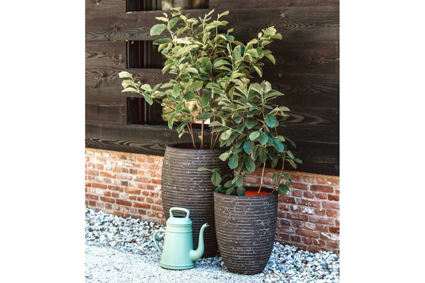 Capi 434863 Vase Nature Row Elegant Low 46x58 Cm Olive Green Capi 434863 Vase Nature Row Elegant Low 46x58 Cm Olive Green