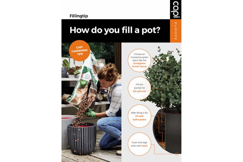 Capi 434877 Egg Planter "urban Smooth" 54x52 Cm Dark Grey Capi 434877 Egg Planter "urban Smooth" 54x52 Cm Dark Grey