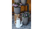 Capi 434884 Egg Planter "urban Tube" 35x34 Cm Dark Grey Capi 434884 Egg Planter "urban Tube" 35x34 Cm Dark Grey