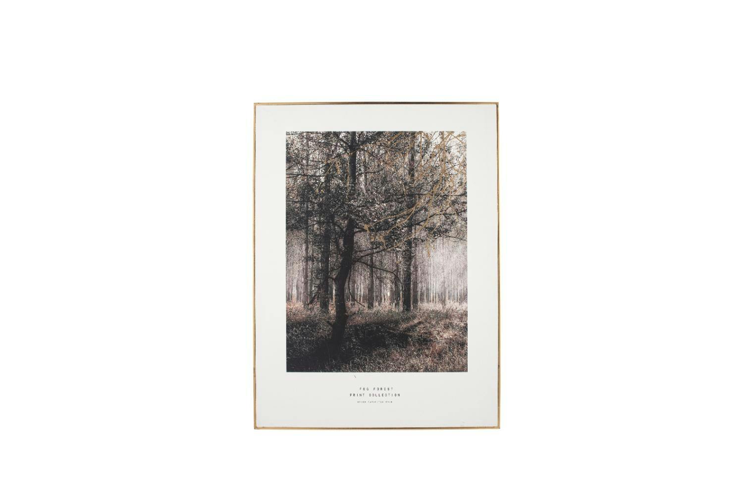 Monochrome Forest Trail Print with Black Frame