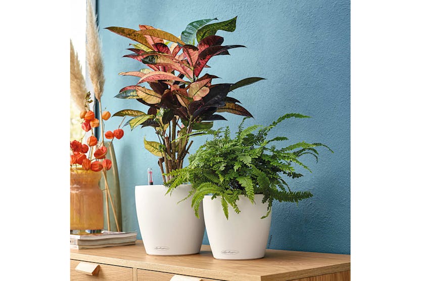 Lechuza Planter Classico Color 28 All-in-one White High Gloss 13190 Lechuza Planter Classico Color 28 All-in-one White High Gloss 13190