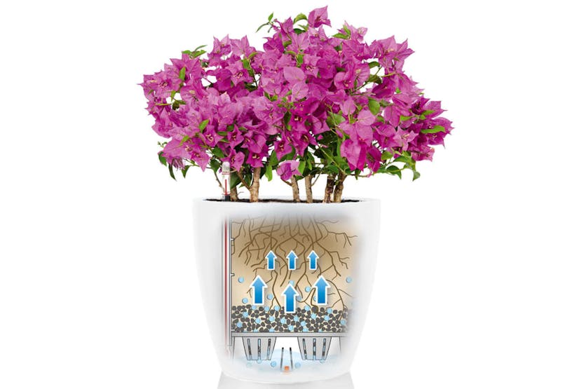 Lechuza Planter Classico Color 28 All-in-one White High Gloss 13190 Lechuza Planter Classico Color 28 All-in-one White High Gloss 13190