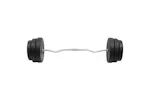 vidaXL 3145022 Curl Barbell With Plates 90 Kg vidaXL 3145022 Curl Barbell With Plates 90 Kg