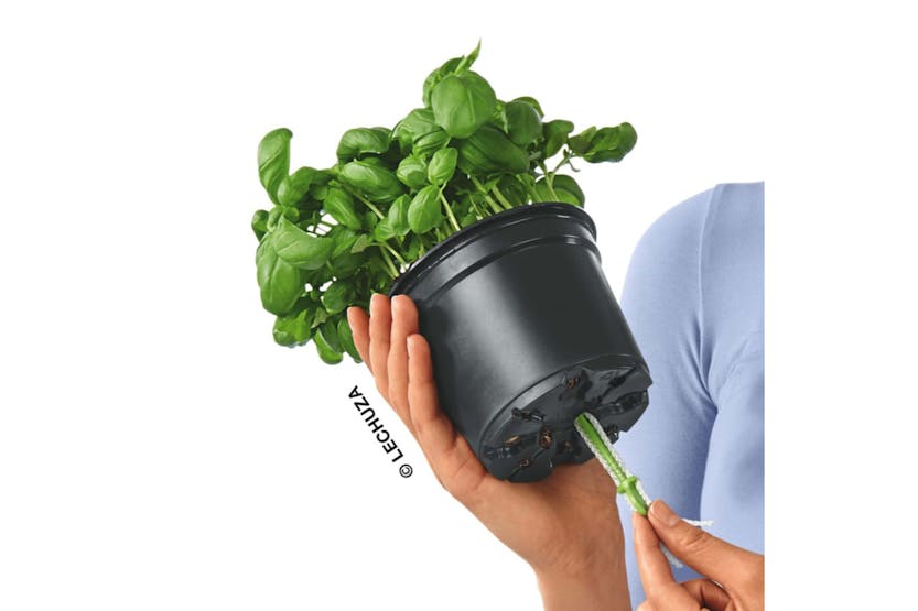 Lechuza 427371 Table Planter Ojo All-in-one Apple Green Lechuza 427371 Table Planter Ojo All-in-one Apple Green