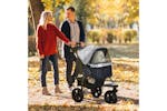 PawHut Folding Pet Stroller | Grey/Black PawHut Folding Pet Stroller | Grey/Black