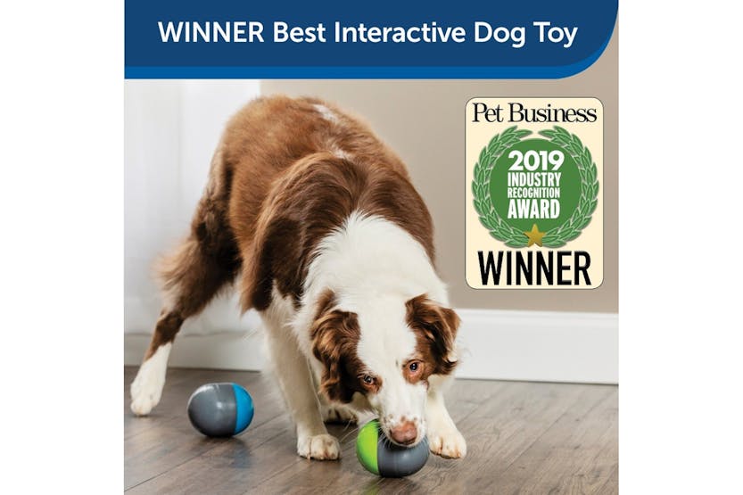 Petsafe PTY19-16713 Ricochet Electronic Dog Toys Petsafe PTY19-16713 Ricochet Electronic Dog Toys