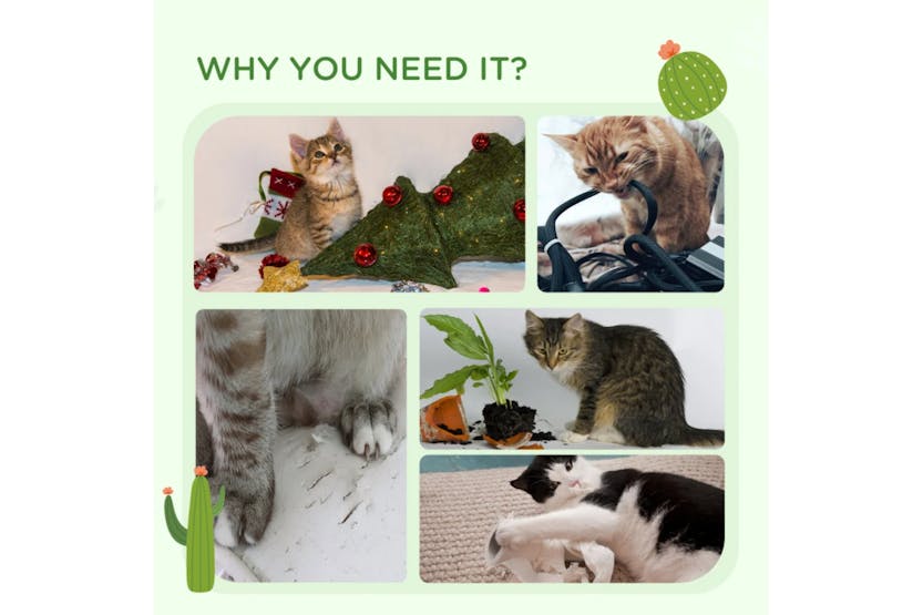 PawHut 60cm Cactus-Shaped Cat Tree | Green/Light Brown PawHut 60cm Cactus-Shaped Cat Tree | Green/Light Brown