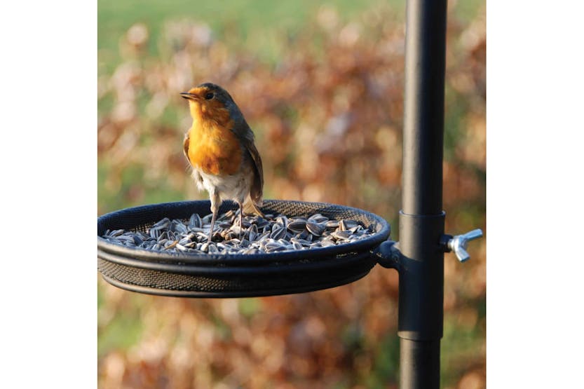 Esschert Design 423795 Bird Feeder Station Fb150 Esschert Design 423795 Bird Feeder Station Fb150