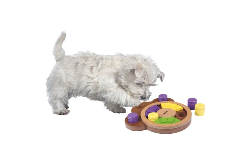Kerbl 445252 Pet Thinking And Learning Toy Paw 22x23x4 Cm Kerbl 445252 Pet Thinking And Learning Toy Paw 22x23x4 Cm
