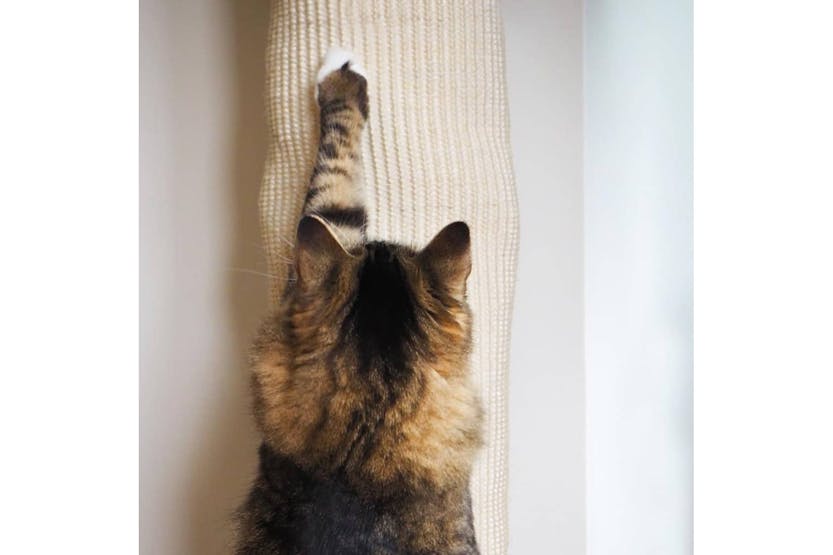 Quapas! 446809 Cat Climbing Bag Sisal 180 Cm Quapas! 446809 Cat Climbing Bag Sisal 180 Cm