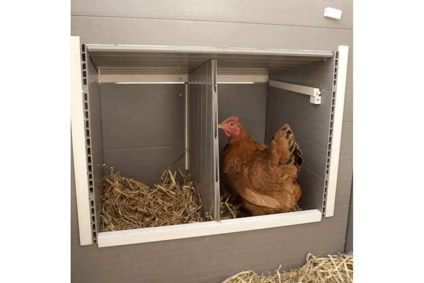 Kerbl 423474 Eco Chicken Pen Barney Plastic 137x73x83 Cm Grey And White Kerbl 423474 Eco Chicken Pen Barney Plastic 137x73x83 Cm Grey And White