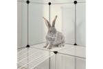vidaXL 340570 Small Animal Cage Transparent 143x107x93cm Pp And Steel vidaXL 340570 Small Animal Cage Transparent 143x107x93cm Pp And Steel