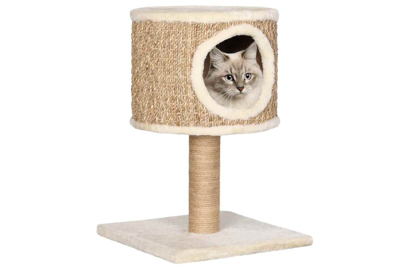 Vidaxl Cat Tree With Condo And Scratching Post 52 Cm Seagrass Vidaxl Cat Tree With Condo And Scratching Post 52 Cm Seagrass