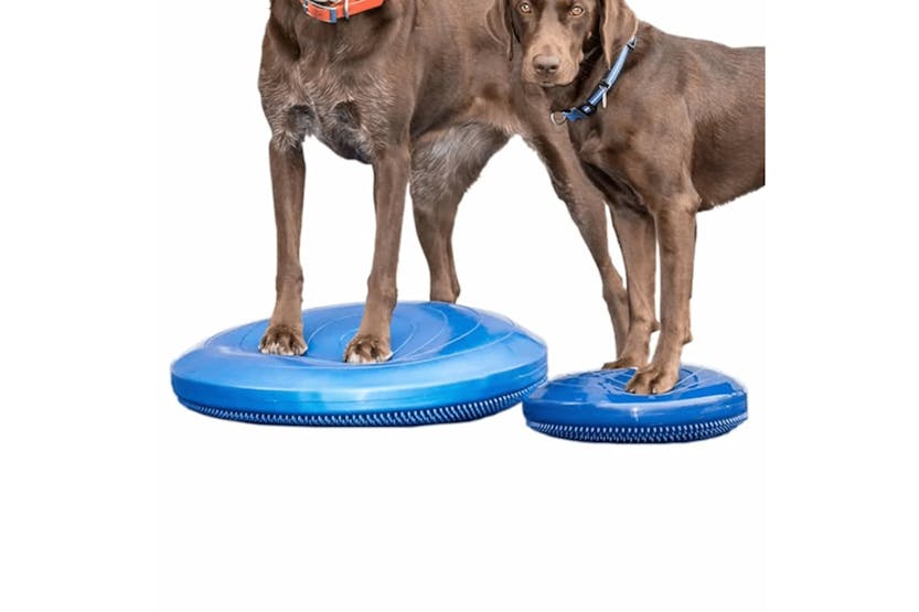 Fitpaws 433818 Pet Balance Disc 36 Cm Blue Fitpaws 433818 Pet Balance Disc 36 Cm Blue