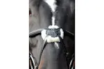 Covalliero Bridle Cancun Pony Black Covalliero Bridle Cancun Pony Black