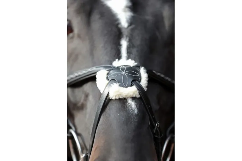 Covalliero Bridle Cancun Pony Black Covalliero Bridle Cancun Pony Black