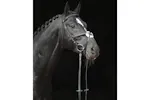 Covalliero Bridle Cancun Pony Black Covalliero Bridle Cancun Pony Black