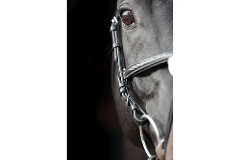 Covalliero Bridle Cancun Pony Black Covalliero Bridle Cancun Pony Black