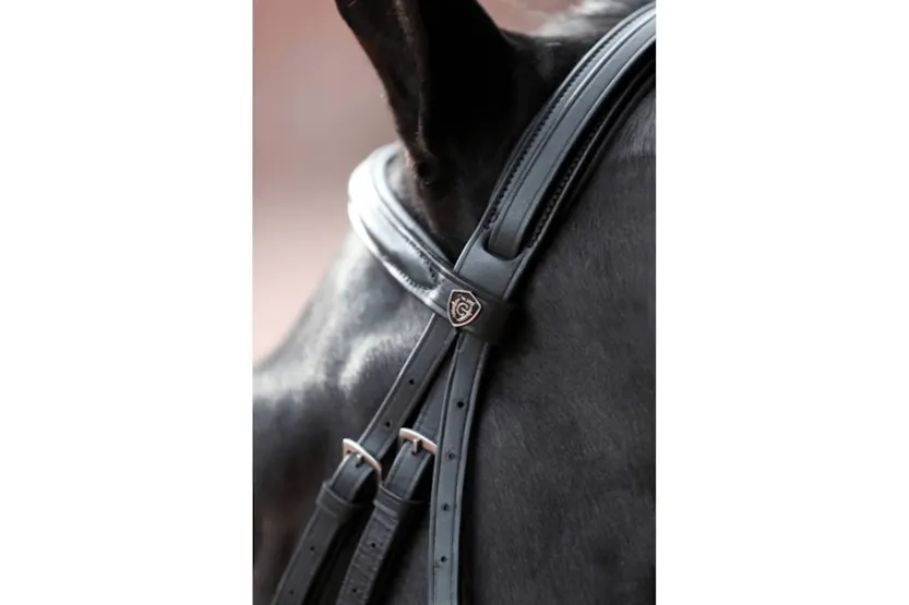 Covalliero Bridle Cancun Pony Black Covalliero Bridle Cancun Pony Black