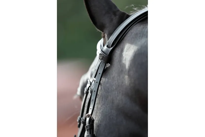 Covalliero Bridle Cancun Pony Black Covalliero Bridle Cancun Pony Black