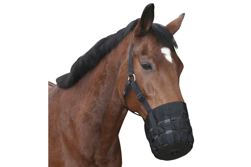 Covalliero Horse Muzzle Pony Black Covalliero Horse Muzzle Pony Black