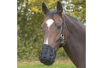 Covalliero Horse Muzzle Pony Black Covalliero Horse Muzzle Pony Black