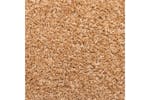 vidaXL Carpet Stair Treads 15 Pcs 65x21x4cm Beige vidaXL Carpet Stair Treads 15 Pcs 65x21x4cm Beige