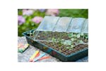 Nature Propagator Mini Kit 7x11 Cells Nature Propagator Mini Kit 7x11 Cells