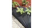 Nature Soil Cover Film 1x20 M Black 6030220 Nature Soil Cover Film 1x20 M Black 6030220