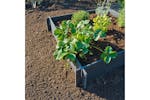 Nature Raised Garden Bed 19 Cm 6040690 Nature Raised Garden Bed 19 Cm 6040690