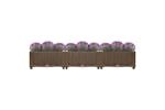 vidaXL Raised Bed 120x40x23cm Polypropylene vidaXL Raised Bed 120x40x23cm Polypropylene
