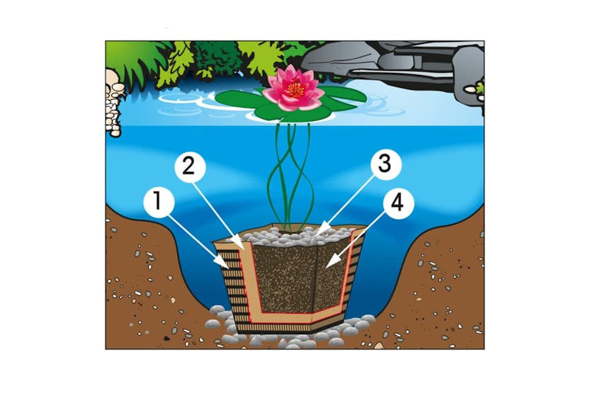 Ubbink Water Lily Soil 10 L 1373118 Ubbink Water Lily Soil 10 L 1373118