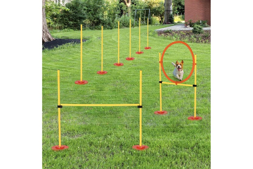 PawHut Plastic 3-Course Dogs Agility Set | Yellow PawHut Plastic 3-Course Dogs Agility Set | Yellow