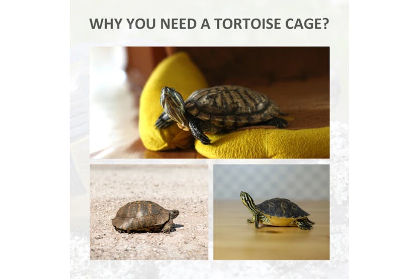 PawHut Outdoor Tortoise Enclosure with Weather Protection | Grey PawHut Outdoor Tortoise Enclosure with Weather Protection | Grey