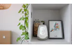 Nooku Air Quality Multi-Room Monitor Kit Nooku Air Quality Multi-Room Monitor Kit