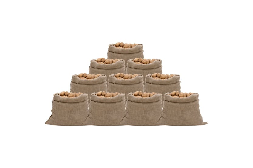 vidaXL 155782 Jute Sacks 10 Pcs 100x110cm 100% Jute 220 Gsm vidaXL 155782 Jute Sacks 10 Pcs 100x110cm 100% Jute 220 Gsm